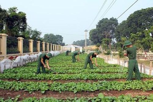 Binh chủng Công binh: Đẩy mạnh tăng gia sản xuất, nâng cao đời sống bộ đội