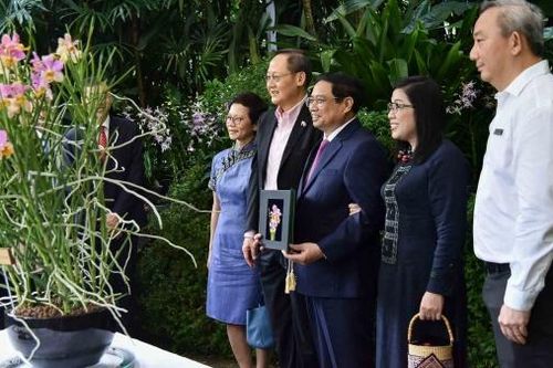 Singapore đặt tên loài hoa lan mang tên Thủ tướng Phạm Minh Chính và phu nhân