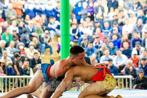 Nghìn người đội mưa xem các đô vật tranh tài
