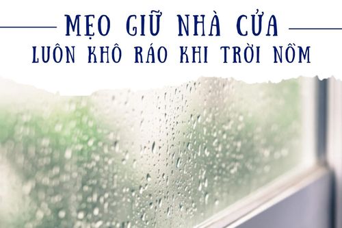 Mẹo giữ nhà cửa khô ráo khi trời nồm