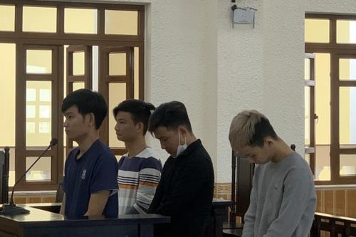 Bình Thuận: Bản án cho 4 người con bắt trói cha ruột, ép đưa sổ đỏ