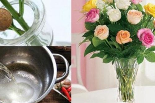 Đổ nước lã cắm hoa là chưa đủ: Thêm thứ này vào bình, hoa tươi roi rói, để mấy tuần vẫn thơm
