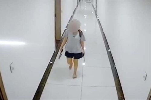 Diễn biến mới vụ người phụ nữ cầm dao đi dọc hành lang chung cư đe dọa hàng xóm
