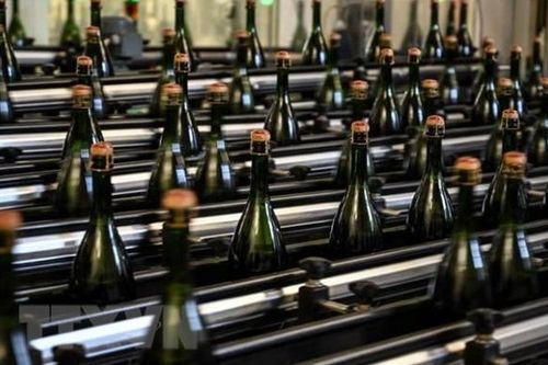 Pháp chi hàng triệu euro biến rượu vang dư thừa thành cồn công nghiệp