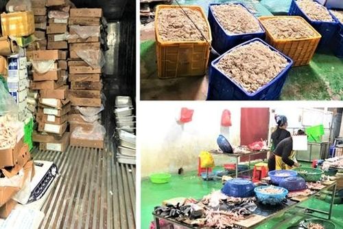 9 tấn lòng lợn, chân gà 'bẩn' chuẩn bị vào nhà hàng