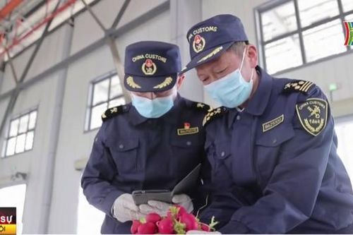 Tuyến đường sắt Trung Quốc-Lào-Thái Lan đi vào hoạt động