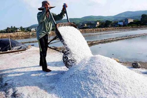 Muối Sa Huỳnh trái vụ tăng giá kỷ lục