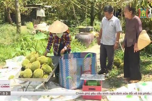 Trung Quốc mở cửa, giá nông sản Việt Nam tăng gấp đôi