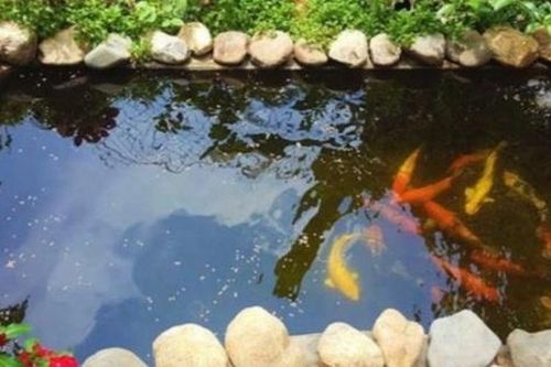 Đau lòng: Phát hiện hai cháu bé 4 tuổi đuối nước tử vong trong hồ cá nhà dân lúc trời tối