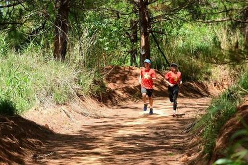 THACO là Nhà tài trợ chính Giải chạy Marathon Vì An toàn giao thông - Sa Thầy 2023