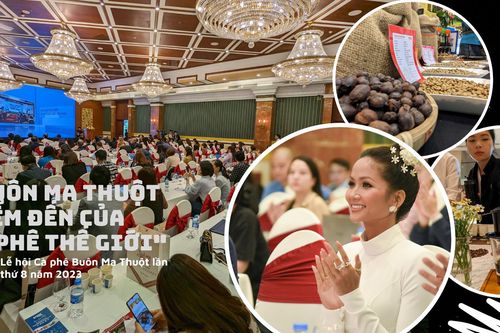 Hình ảnh ấn tượng tại buổi họp báo về Lễ hội cà phê cấp quốc gia năm 2023