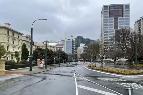 Thủ đô New Zealand cảnh báo về '1.000 bóng đèn tử thần'