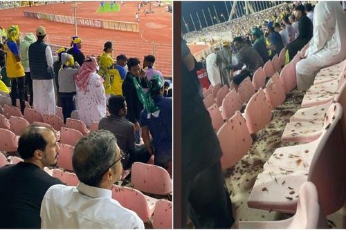 Bầy châu chấu tràn vào sân vận động khi Ronaldo ghi bàn