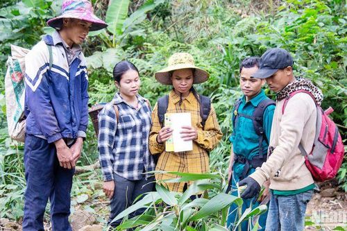 Chia sẻ, thúc đẩy phát triển rừng bền vững ở Quảng Trị