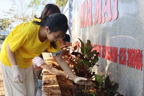 Đà Nẵng: Cùng học sinh, trẻ mồ côi trồng cây xanh