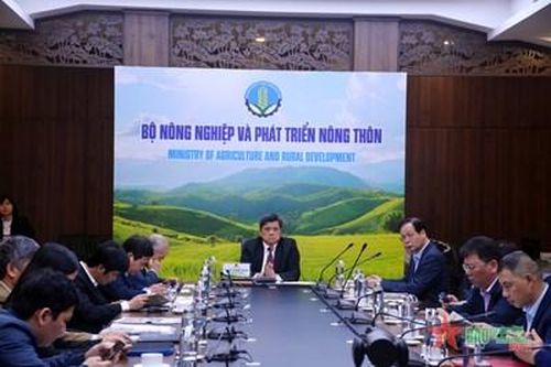 Đảm bảo chất lượng, an toàn thực phẩm nông sản phục vụ xuất khẩu