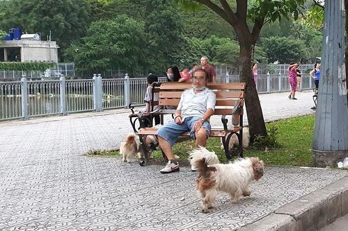 Nuôi động vật trong đô thị sao cho phù hợp, an toàn
