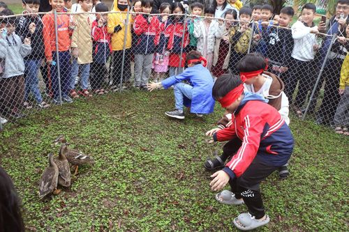 Trường học tái hiện trò chơi dân gian tại không gian hội chợ xuân