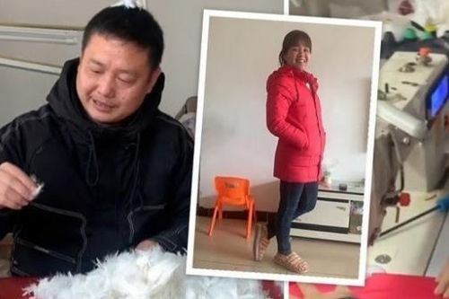 Trung Quốc: Chồng nuôi ngỗng, may áo lông vũ tặng vợ