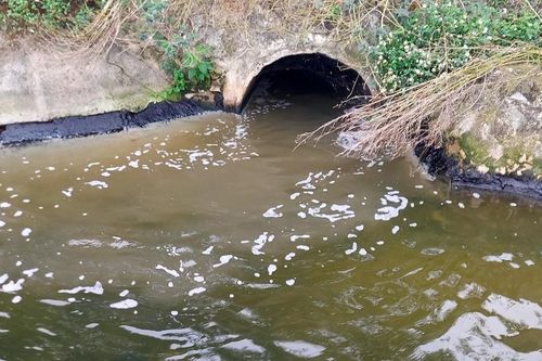 Nước từ Nhà máy xử lý nước thải thành phố Vinh xả ra có màu đục