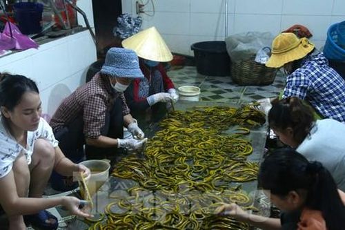 Làm giàu nhờ nghề sơ chế lươn đồng
