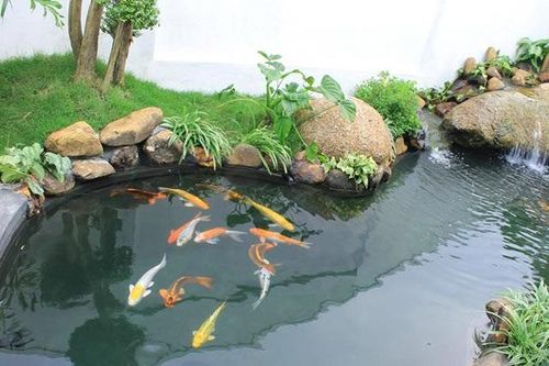 2 trẻ tử vong thương tâm trong hồ cá Koi