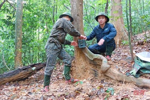Lắp 25 điểm bẫy ảnh giám sát đa dạng sinh học trong 'Vườn di sản ASEAN' ở Hà Tĩnh