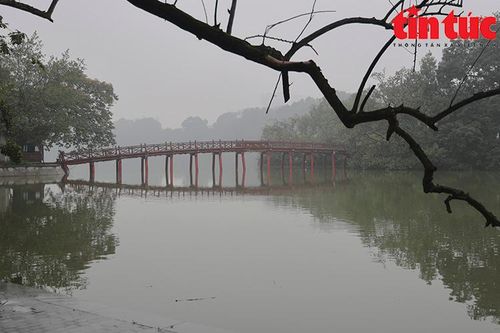 Thơ: Cảm