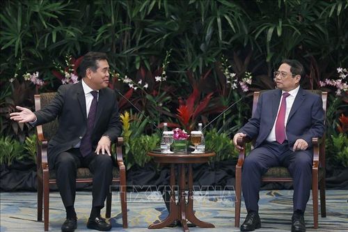 Thủ tướng Phạm Minh Chính tiếp lãnh đạo một số doanh nghiệp của Singapore