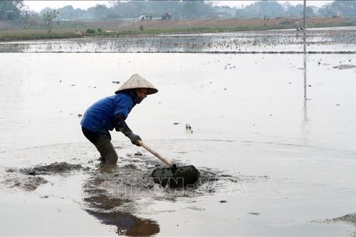 EVN xả hơn 3,6 tỷ m3 nước cho sản xuất vụ Đông Xuân