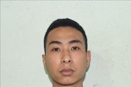 Khởi tố đối tượng lừa đảo chiếm đoạt ba xe ô tô trị giá gần 1,4 tỷ đồng