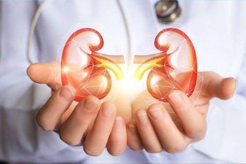 2 điều đơn giản nhưng nhất định phải làm mỗi sáng để thận luôn khỏe