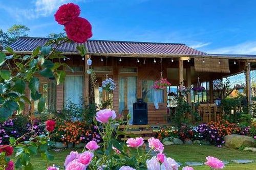 Ngôi nhà gỗ 40m² đẹp như cổ tích giữa hoa cỏ và mây trời ở Lâm Đồng