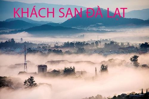 Khách sạn trung tâm Đà Lạt Hoa Dalat Travel