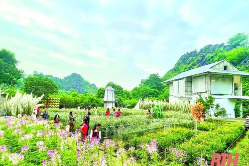 Khám phá du lịch giữa lòng thành phố