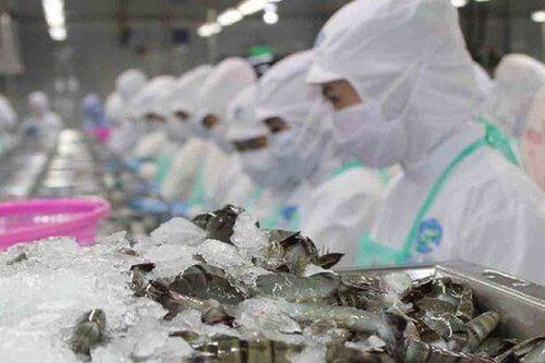 Doanh thu tháng 1 của Sao Ta (FMC) giảm gần một nửa