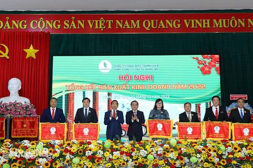 Năm 2023, Tổng công ty Cao su Đồng Nai đặt mục tiêu doanh thu gần 1,6 ngàn tỷ đồng