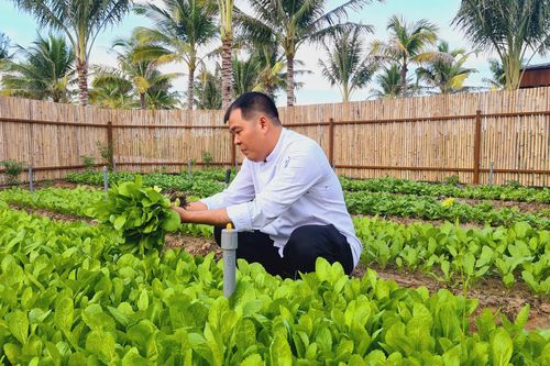 Alma Resort thành lập trang trại hữu cơ trong khuôn viên khu nghỉ dưỡng