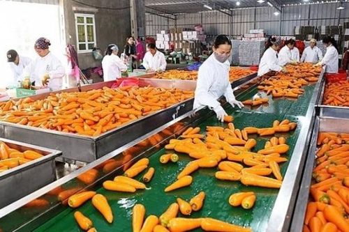 Processed fruits, vegetables enter one-billion-USD export club