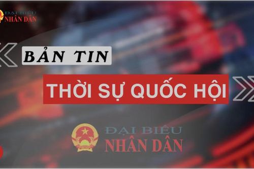 Bản tin Thời sự Quốc hội ngày 10.2.2023