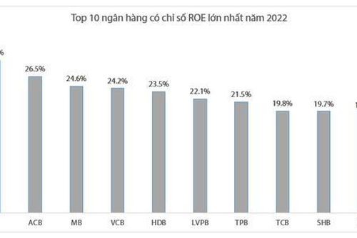 Những ngân hàng có ROE cao nhất năm 2022: VIB là quán quân, BIDV bứt tốc vào Top 10