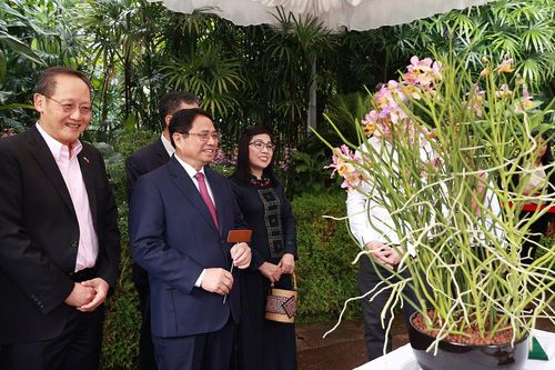 Khám phá chính sách 'ngoại giao hoa lan' độc đáo của Singapore