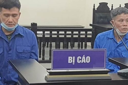 Ra tay quá đà, hai người bắt kẻ trộm chó lĩnh 12 năm tù