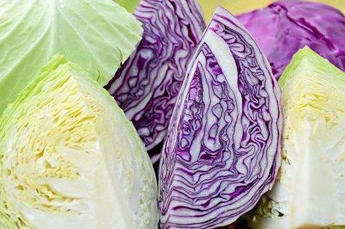 Thực hư công dụng của rau bắp cải với người mắc bệnh tuyết giáp, đây là 6 lý do bạn nên đưa rau bắp cải vào thực đơn gia đình