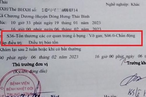 Tình huống pháp lý vụ trâu 'điên' húc vỡ gan người đi đường