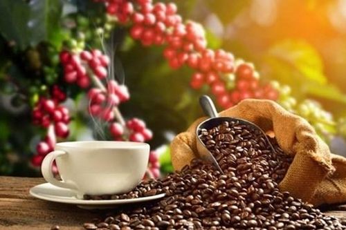 Cà phê 'mặn chát' vì sương muối