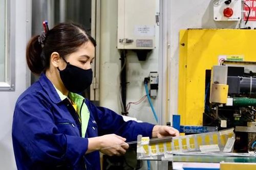 Chính phủ yêu cầu khẩn trương hoàn thiện hồ sơ Luật Việc làm (sửa đổi)
