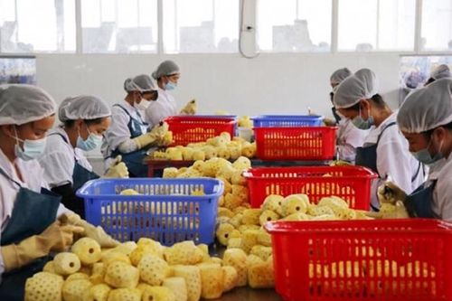 Trung Quốc mở đường sắt đến Thái Lan và Lào: Nhiều thách thức cho xuất khẩu nông sản Việt