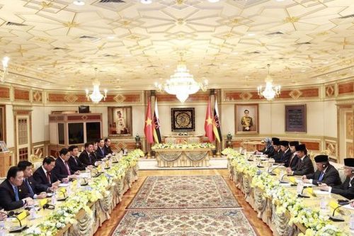 Thúc đẩy hợp tác Việt Nam - Brunei phát triển ngày càng sâu rộng