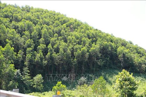 Hoàn thiện Luật Đất đai - Bài 2: Thực tiễn ở địa phương